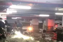 Mưa xối xả, nước cuốn như thác, hầm chung cư ở Hạ Long  ' chết chìm ' 