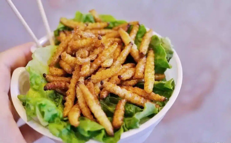 Loài “phá rừng” thành đặc sản siêu protein, dân bắt đem bán đếm tiền mỏi tay - 3