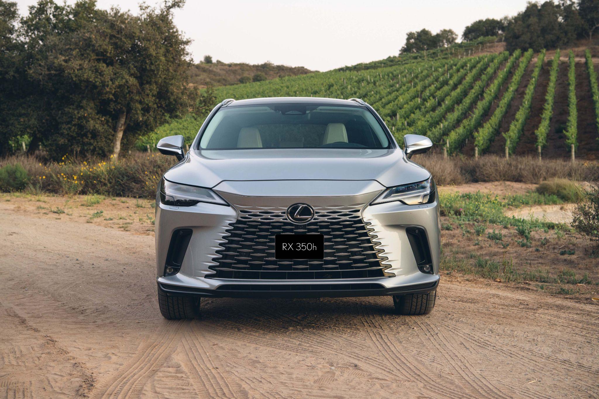 Lexus RX bổ sung hai phiên bản Hybrid mới, thêm lựa chọn xanh cho khách hàng Việt - 1
