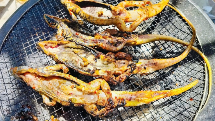 Dông là động vật thường xuyên vận động, có khả năng chạy "thần tốc" và biết leo cây. Thịt của chúng săn chắc, có vị ngọt tự nhiên
