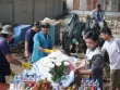 Cá heo bơi lạc vào sông ở Cà Mau đã chết
