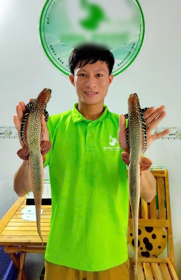Đặc sản 4 chân đuôi dài thượt ở Bình Thuận, thịt săn chắc, ngọt thơm hơn thịt gà - 2