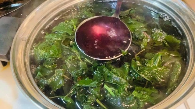 Mỗi ngày ăn vài lá này, đường huyết ổn định, da dẻ hồng hào như người trẻ – Bí quyết dân gian đang được khoa học công nhận - 6