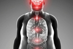 Nghiên cứu Mỹ cảnh báo các món ăn khiến bạn  " đứng ngồi không yên " 
