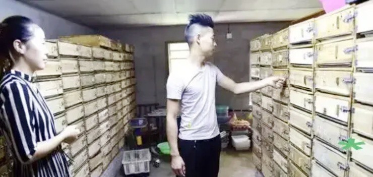 Thợ tóc bỏ nghề đi săn “vàng ròng” từ loài ai cũng sợ, nay kiếm vài tỷ/năm - 3