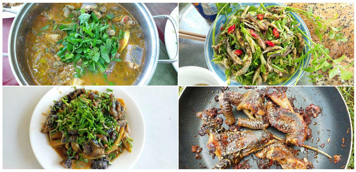 &nbsp;Con dông được sơ chế đơn giản, làm thành nhiều món ăn ngon