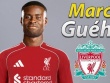 Trực tiếp chuyển nhượng chiều 29/6: Liverpool chiêu mộ Guehi, cơn lốc mua sắm chưa dừng lại