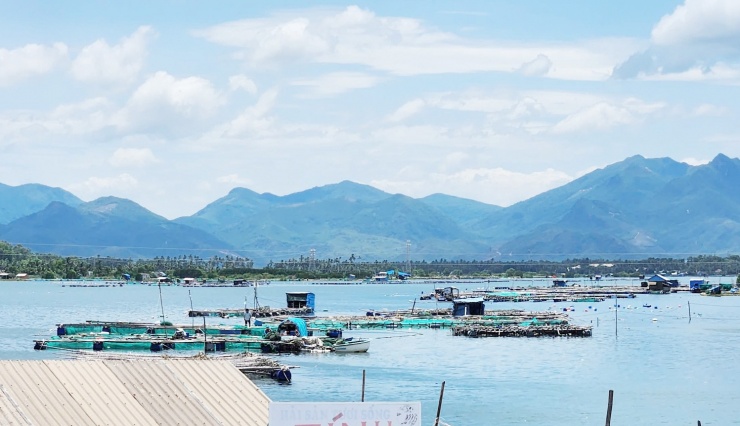 Nhiều điểm check-in hút du khách trên cung đường từ Phú Yên đến Bình Định - 6