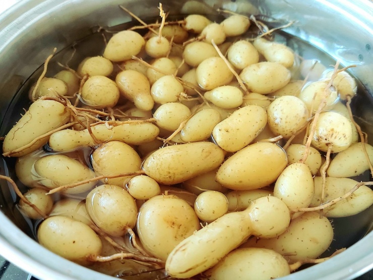 Củ lùn ninh xương hay nấu chè đều ngon miệng. Ảnh: Azid Giàu&nbsp;