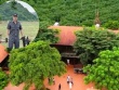 Trang trại rộng hàng chục ha của trùm giang hồ Vi “ngộ"