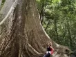 Hè về đến Nam Cát Tiên, trú nắng dưới tán rừng xanh mát