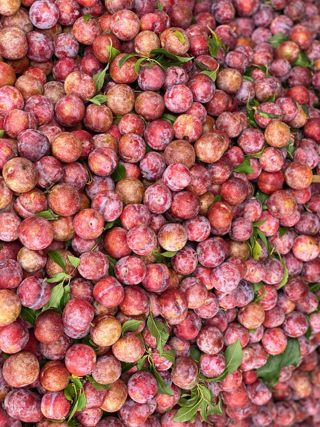 Mận Việt Nam thường còn cuống, lá tươi và có một lớp phấn trắng bao quanh quả.