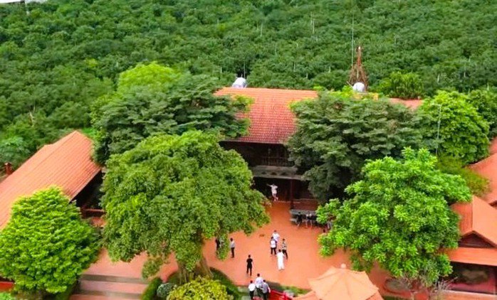 Những ngôi nhà gỗ sang trọng tại trang trại của Nguyễn Văn Vi