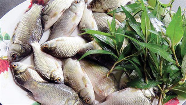 Một số nguyên liệu làm cháo cá diếc rau răm.
