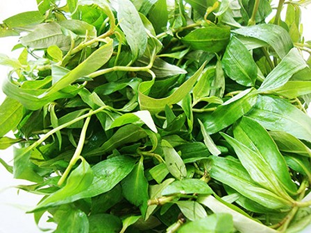 Muốn nấu được cháo cá diếc ngon, mềm ngọt, nhất định phải có loại rau này - 1