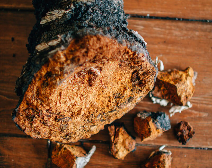 Nhờ chứa melanin – chất chống oxy hóa tự nhiên và giàu hoạt chất chống lão hóa, chaga còn giúp cải thiện làn da khỏe mạnh, căng mịn.
