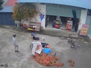 Clip: Hết hồn xe đạp lao từ ngõ ra  hạ đo ván  xe máy chở vải trong tích tắc