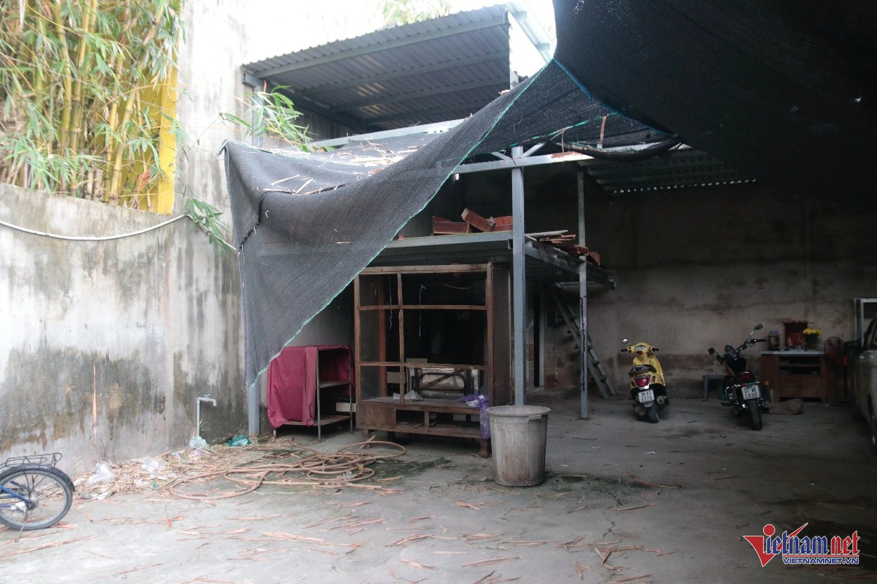 Nghệ sĩ Ngọc Tâm Tâm tài hoa một thời: Tuổi 62 sống cảnh túng thiếu, bệnh tật - 3