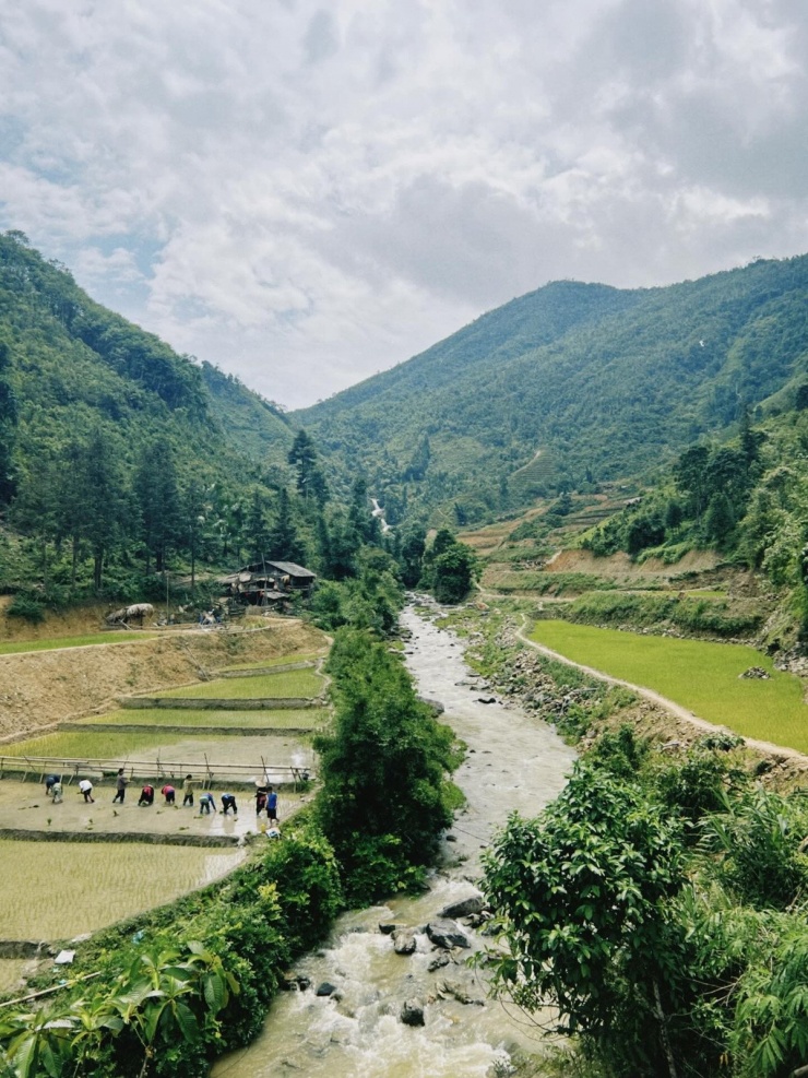 Ngày đầu tiên, tham quan làng, hái chè cùng người dân, tối thưởng thức cơm truyền thống và giao lưu văn nghệ. Ngày hôm sau, trekking đồi chè, xuyên rừng nguyên sinh với hướng dẫn viên bản địa, mua chè Shan Tuyết và sản phẩm thủ công trước khi quay về. Ảnh dophuc.2710