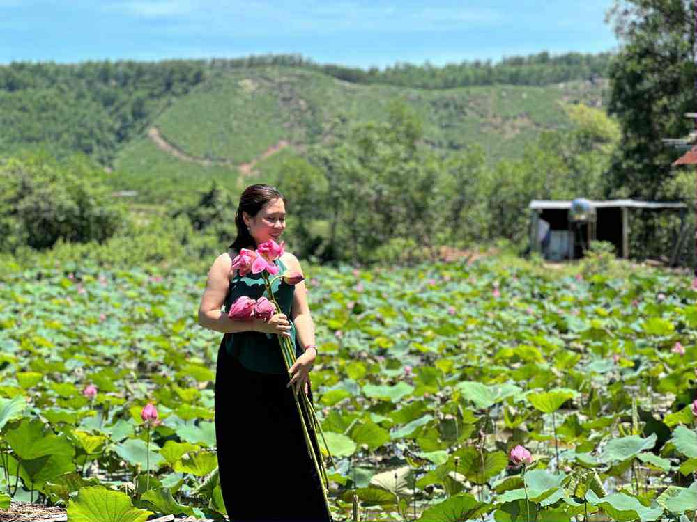 Sen Trà Lý mê hoặc du khách - 2