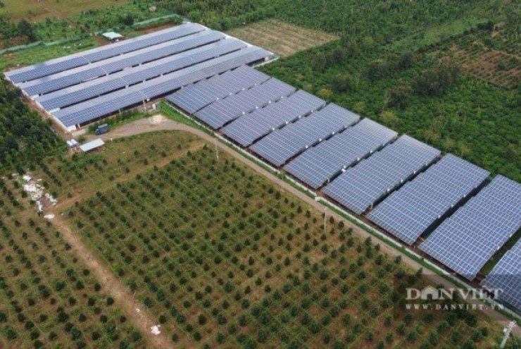 Bỏ ra 30 tỷ lắp điện mặt trời trên chuồng gà, chủ trang trại tiết kiệm hàng tỷ tiền điện, giảm phát thải 8.000 tấn CO2