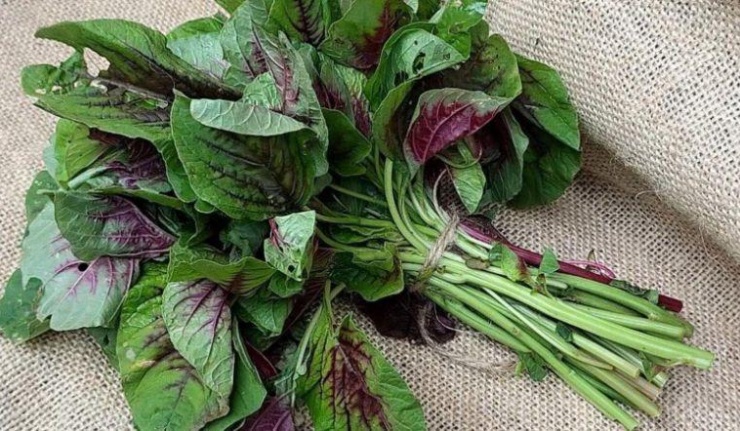 4 loại rau ở Việt Nam là 'kho sắt xanh', bổ máu hơn cả thịt bò: Top 1 tốt cho cả tim và dạ dày, nhiều người chê không ăn - 4