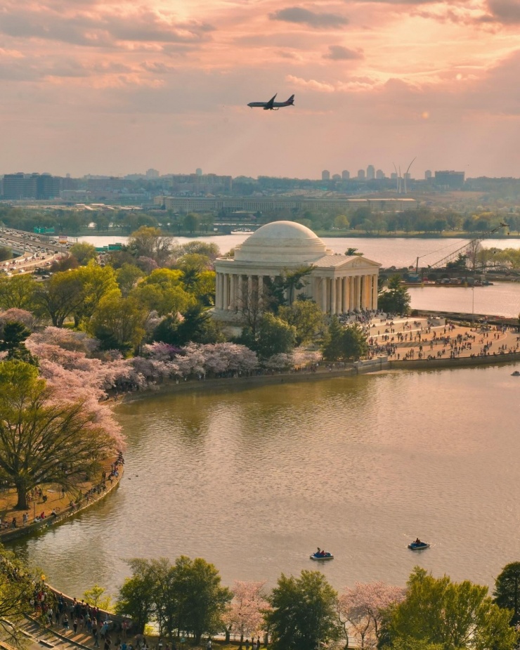 Tại Washington, mùa hoa năm nay được ghi nhận đạt "đỉnh nở" từ ngày 26/3, khi khoảng 70% số hoa anh đào Yoshino - giống hoa anh đào chủ đạo tại Washington đồng loạt bung nở. Đây là thời điểm được xem là đẹp nhất, kéo dài từ 3 đến 7 ngày, tùy thuộc vào điều kiện thời tiết. Ảnh: drchubacca