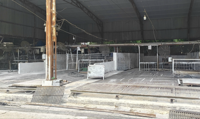 Khu vực giết mổ heo tại Cơ sở giết mổ gia súc tập trung Vạn Phúc. Ảnh: T. H.