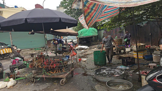 Sau mỗi buổi chợ, nước thải từ hàng cá, hàng giết mổ gia cầm xả trực tiếp xuống đường, bốc mùi hôi thối, gây ô nhiễm môi trường sống của cư dân xung quanh.