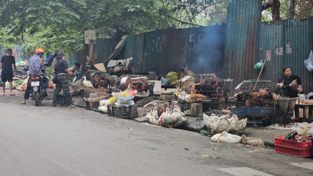 Cảnh tượng giết mổ gia cầm ngay sát vỉa hè không chỉ gây mất vệ sinh an toàn thực phẩm mà còn là nguồn cơn gây ô nhiễm nguồn nước và không khí trong khu vực.