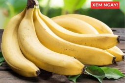 Tin tức sức khỏe - Thời điểm ăn chuối tốt hơn cả thuốc bổ, giúp phổi thông thoáng, ho giảm, đàm loãng và thở dễ hơn