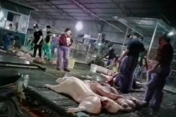 Vụ thịt lợn dịch vào trường học: Thấy gì về thị trường suất ăn tỷ USD tại Việt Nam?