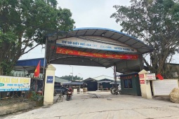 Vụ tiêu thụ gần 300 tấn lợn bệnh ở Hà Nội: Thu giữ cuốn sổ ghi chép việc ăn chia tiền 'làm luật'