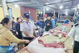 Vụ thịt lợn dịch vào bếp ăn trường học: Trách nhiệm của lực lượng thú y ra sao?