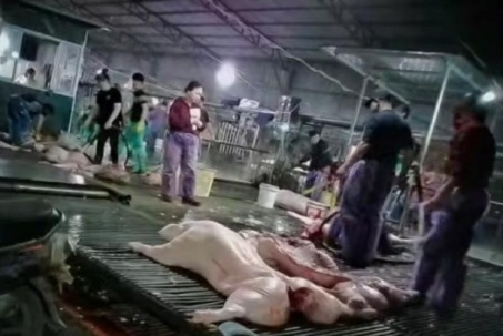 Vụ thịt lợn dịch vào trường học: Thấy gì về thị trường suất ăn tỷ USD tại Việt Nam?