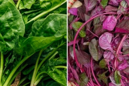 4 loại rau ở Việt Nam là 'kho sắt xanh', bổ máu hơn cả thịt bò: Top 1 tốt cho cả tim và dạ dày, nhiều người chê không ăn