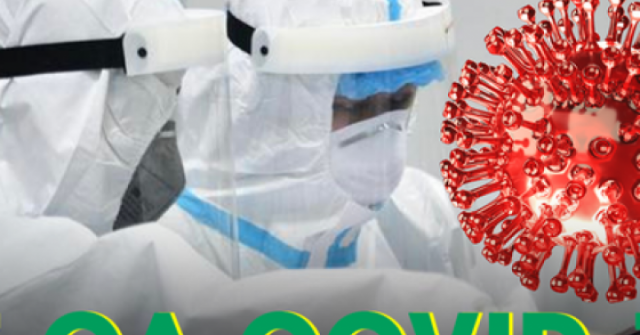 Ghi nhận 17 ca COVID-19 tại Hà Nội, Bộ Y tế thông tin chính thức về biến thể "ve sầu"