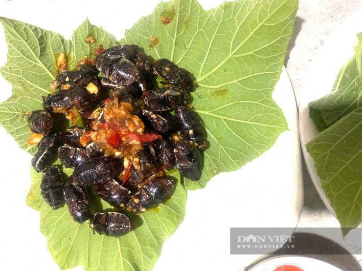 Món bù rầy rang mắm ăn kèm với lá bầu non đã trở thành đặc sản đối với nhiều người dân. Ảnh: Ngọc Vũ.