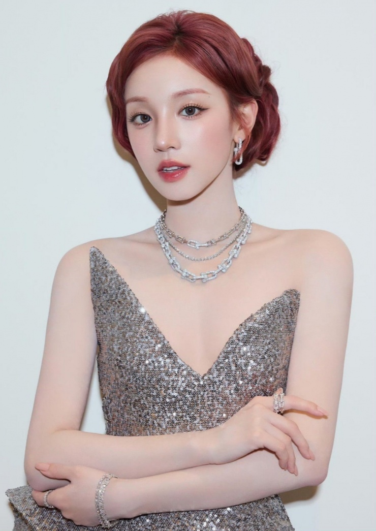 Nữ ca sĩ thông báo tạm dừng hoạt động.