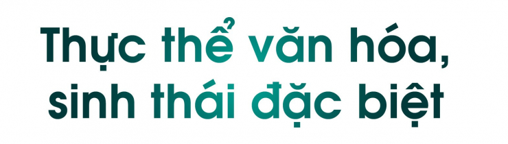 ‘Đại chỉnh trang’: Giữ hồn Hồ Tây, làm giàu thêm bản sắc - 1