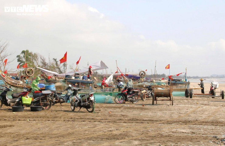 Những ngày này, tại các xã ven biển Nghệ An, ngư dân bước vào cao điểm vụ khai thác sứa - loại hải sản mang tính mùa vụ đặc trưng. Năm nay, thời tiết thuận lợi, nguồn sứa dồi dào giúp bà con phấn khởi ra khơi làm giàu.