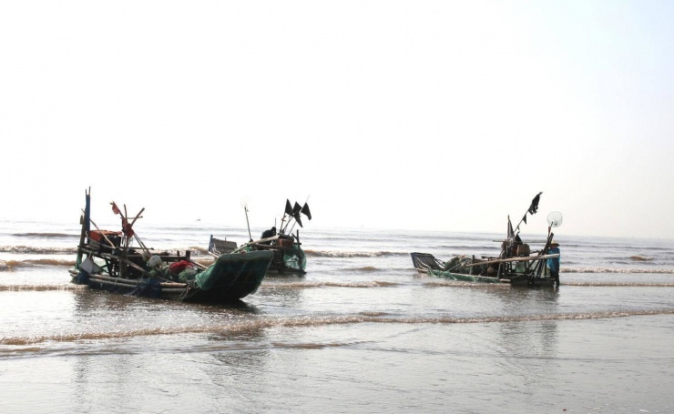 Xã Hải Châu hiện có 4 cơ sở thu mua, chế biến quy mô lớn, mỗi ngày bao tiêu hàng chục tấn sứa, giúp ngư dân có thêm thu nhập, yên tâm tiếp tục vươn khơi bám biển.