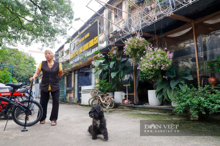 Cư dân sinh sống tại khu tập thể này cho biết, dù đã chủ động bỏ kinh phí khắc phục, song việc sửa chữa đơn lẻ, thiếu đồng bộ với toàn bộ dãy nhà nên hiệu quả cải thiện không đáng kể.