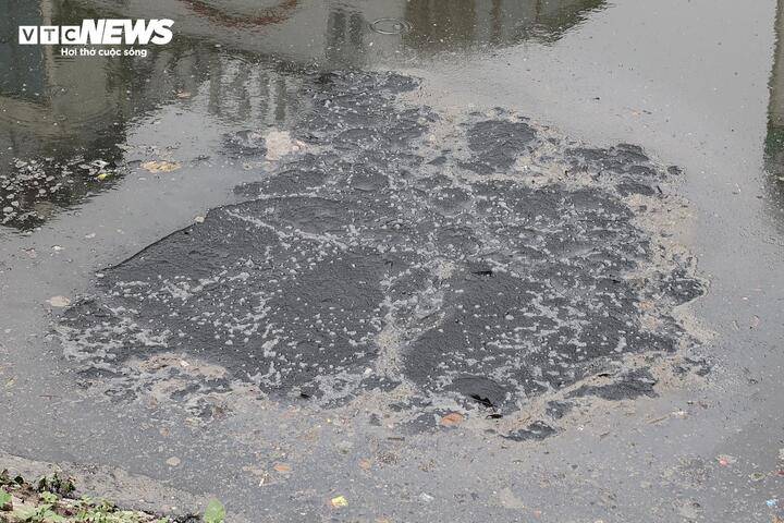 Sau 6 tháng hồi sinh, dòng 'sông chết' ở Hà Nội thay đổi ra sao? - 14