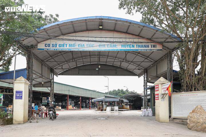 Cận cảnh lò mổ tuồn gần 300 tấn lợn bệnh vào trường học, chợ đầu mối ở Hà Nội - 1