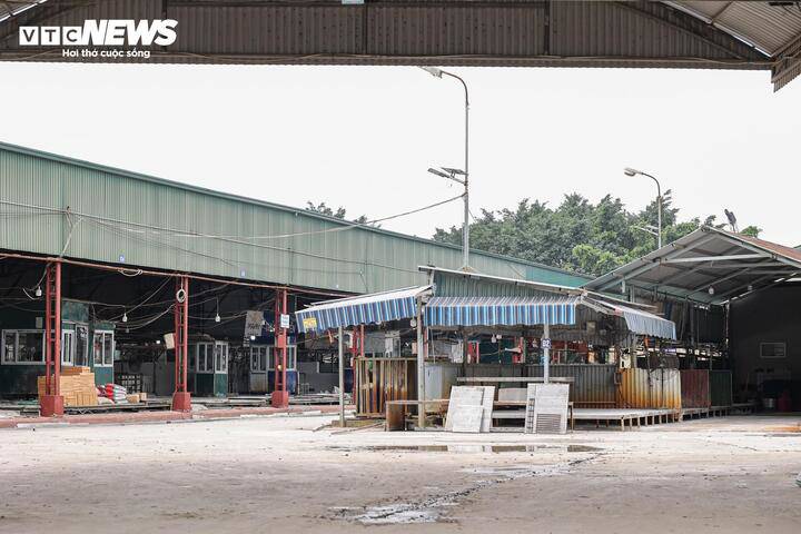 Cận cảnh lò mổ tuồn gần 300 tấn lợn bệnh vào trường học, chợ đầu mối ở Hà Nội - 3