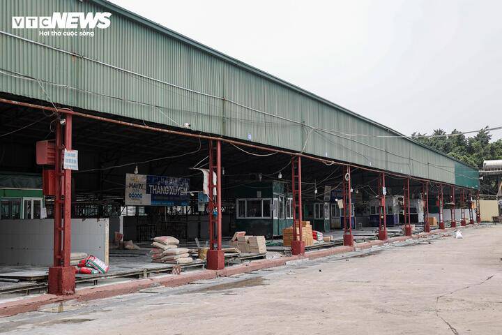 Cận cảnh lò mổ tuồn gần 300 tấn lợn bệnh vào trường học, chợ đầu mối ở Hà Nội - 4