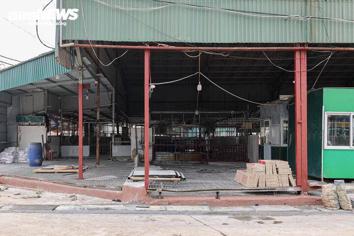 Cận cảnh lò mổ tuồn gần 300 tấn lợn bệnh vào trường học, chợ đầu mối ở Hà Nội - 9