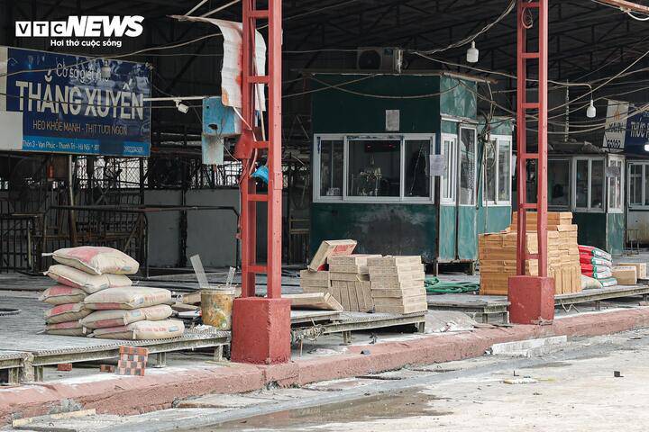 Cận cảnh lò mổ tuồn gần 300 tấn lợn bệnh vào trường học, chợ đầu mối ở Hà Nội - 11