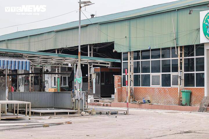 Cận cảnh lò mổ tuồn gần 300 tấn lợn bệnh vào trường học, chợ đầu mối ở Hà Nội - 12